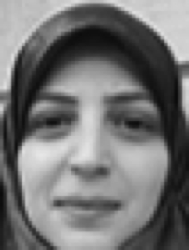Zainab Haydari