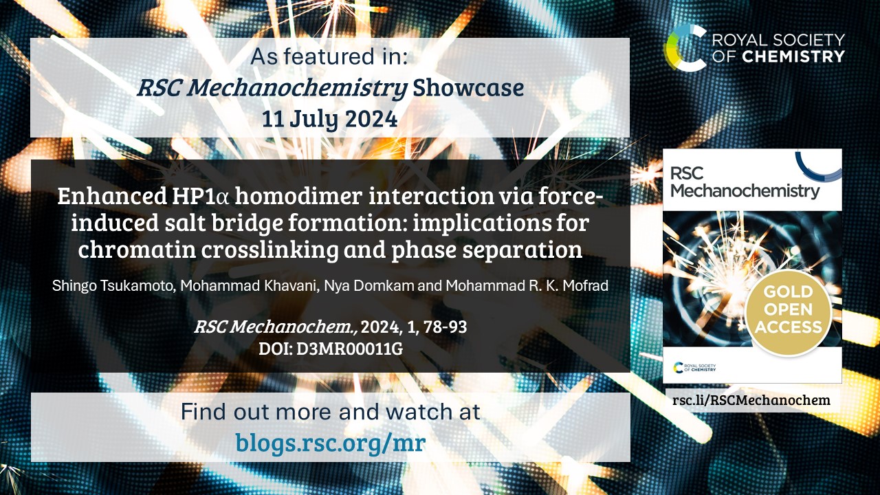 Shingo’s paper “Enhanced HP1α homodimer interaction via force-induced salt bridge formation: implications for chromatin crosslinking and phase separation” was featured in RSC Mechanochemistry Showcase as one of the top Editor’s Choice articles. 